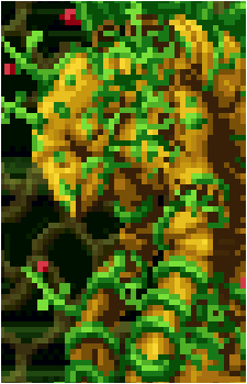 Nettori's image
