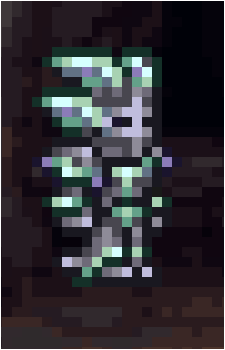 Image 46