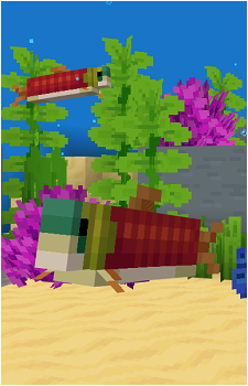 Salmon