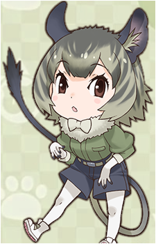 Common Degu