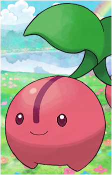 Cherubi's image