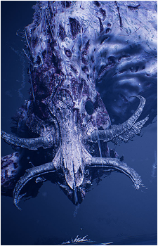 Garm {HB}'s image
