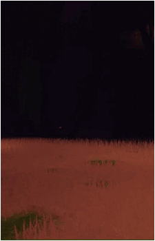 Image 7 Image 7