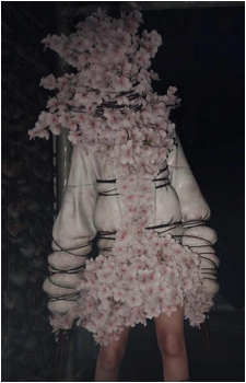 Sakura Head's image