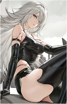A2