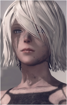 Image 13 of A2