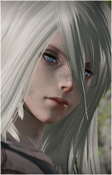 Image 3 of A2