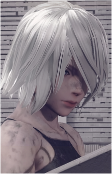 Image 12 of A2