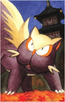 Image 30
