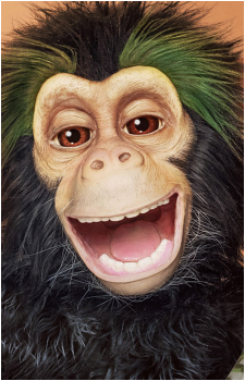 Chueco's image
