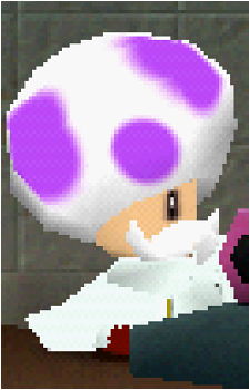 Professor Fungi's image