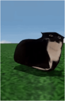 Maxwell the Cat