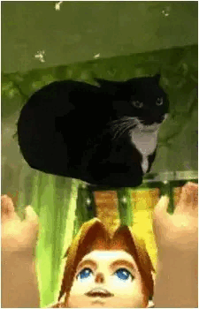 Maxwell the Cat