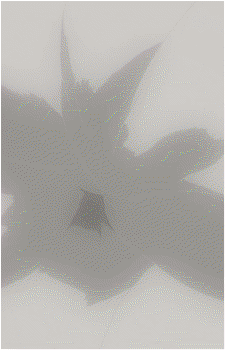 Image 203