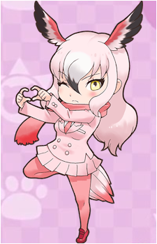 Greater Flamingo