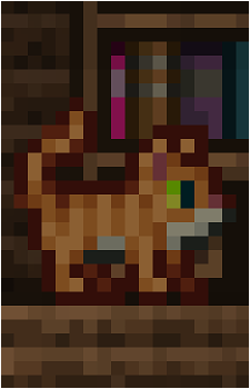 Town Cat's image