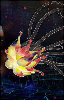 Suleika's image