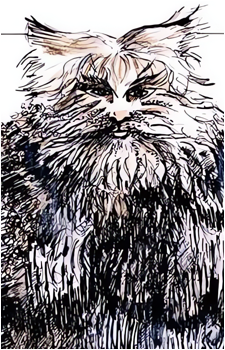 Old Deuteronomy's image