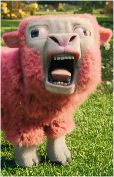Sheep