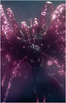Image 3 Image 3