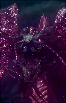 Image 2 Image 2
