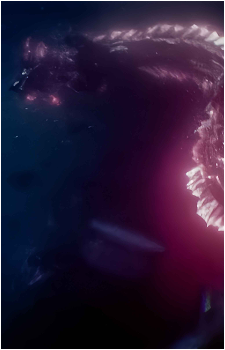 Image 4 Image 4