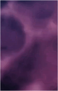 Image 6 Image 6