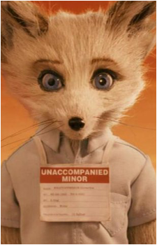 Kristofferson Silverfox's image