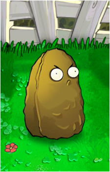 Wall-nut