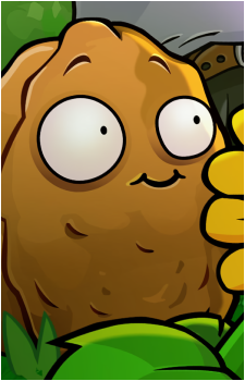 Wall-nut