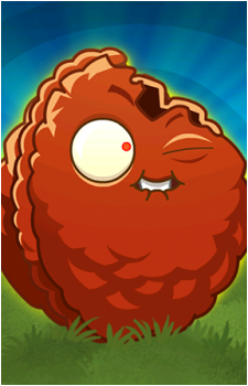 Wall-nut