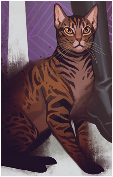 Frumpkin's image