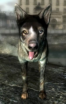 Dogmeat {FO3}