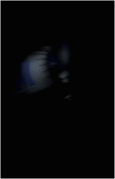 Image 31