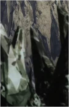 Image 37
