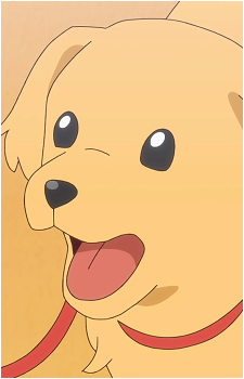 Kyutaro's image