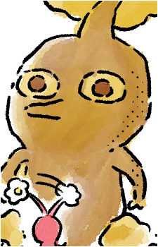 Image 20