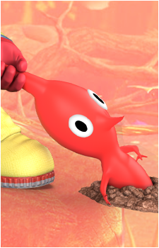 Image 32