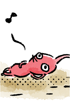 Red Pikmin