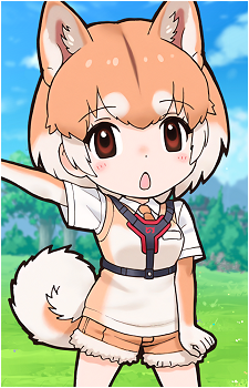 Domestic Dog's image
