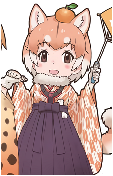 Domestic Dog