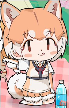 Domestic Dog
