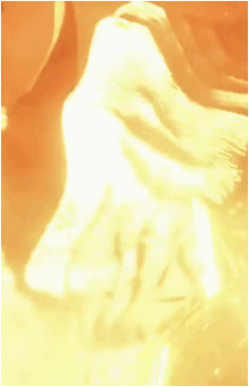 Image 27 of Bahamut
