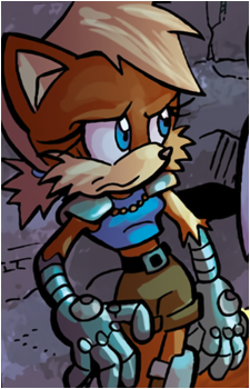 Payback Fox's image