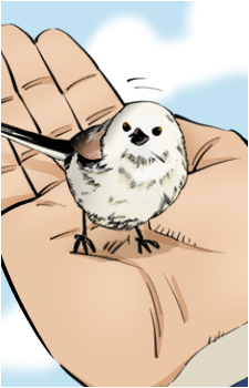 Upashy's image