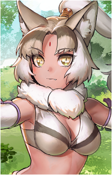 Indian Wolf