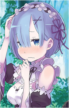 Image 27 of Rem