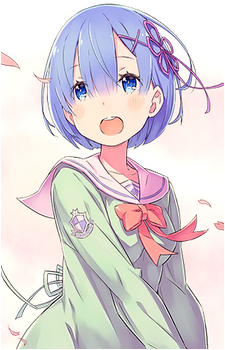 Image 40 of Rem