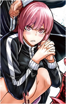 Homare Byobugaura