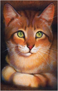 Crookedstar's image